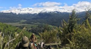 Carabineros de La Araucanía detiene a tres personas por contrabando y decomisa productos ingresados de forma ilegal al país