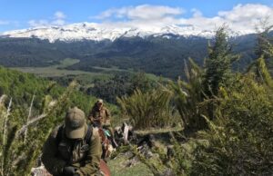 Carabineros de La Araucanía detiene a tres personas por contrabando y decomisa productos ingresados de forma ilegal al país