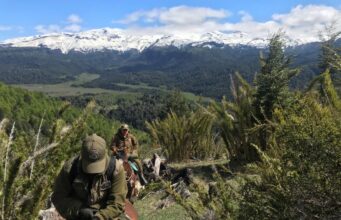 Carabineros de La Araucanía detiene a tres personas por contrabando y decomisa productos ingresados de forma ilegal al país