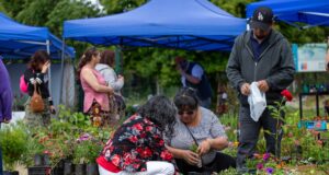 ¡Colores y aromas que enamoran! Exitosa segunda versión de Expo Flores en Gorbea
