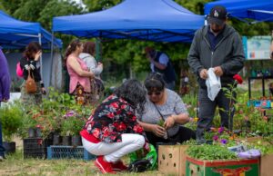 ¡Colores y aromas que enamoran! Exitosa segunda versión de Expo Flores en Gorbea