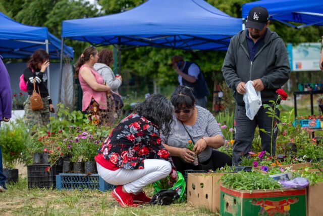 ¡Colores y aromas que enamoran! Exitosa segunda versión de Expo Flores en Gorbea