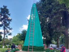 Inicia la temporada navideña en Freire con la instalación del árbol de navidad