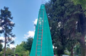 Inicia la temporada navideña en Freire con la instalación del árbol de navidad