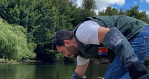 Vecinos Rescatan a Huairavo Juvenil en Pitrufquén: Ave es Liberada en su Hábitat Natural por Personal del SAG