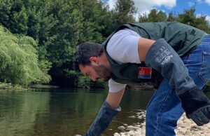 Vecinos Rescatan a Huairavo Juvenil en Pitrufquén: Ave es Liberada en su Hábitat Natural por Personal del SAG