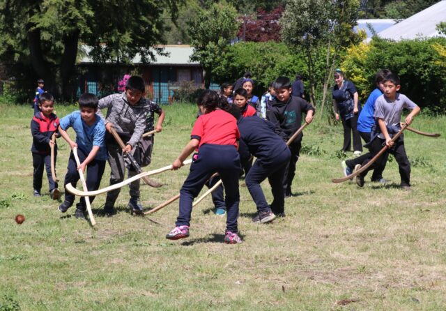 Escuela Epu Klei de Lican Ray lidera Palikantun para revitalizar la cultura mapuche