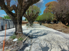 25% de avance tienen las obras de recuperación de Plaza Los Héroes de Pitrufquén