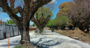 25% de avance tienen las obras de recuperación de Plaza Los Héroes de Pitrufquén