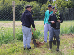 En el Complejo Educacional Juan Schleyer de Freire, Ministerio de Agricultura celebra un siglo de historia con plantación de árboles nativos