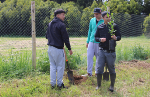 En el Complejo Educacional Juan Schleyer de Freire, Ministerio de Agricultura celebra un siglo de historia con plantación de árboles nativos