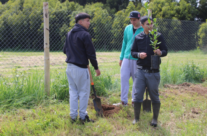 En el Complejo Educacional Juan Schleyer de Freire, Ministerio de Agricultura celebra un siglo de historia con plantación de árboles nativos