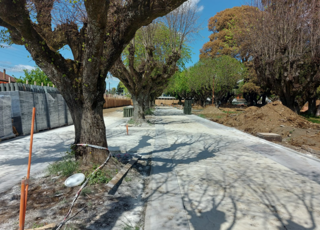 25% de avance tienen las obras de recuperación de Plaza Los Héroes de Pitrufquén