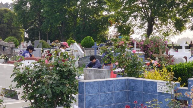 Familias se reúnen en cementerios de Freire, Pitrufquén y Gorbea para recordar a sus seres queridos en el día de Todos los Santos