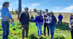 CONAF y Gobierno Regional de La Araucanía impulsan programa para la recuperación hidrológica en la zona de rezago Malleco