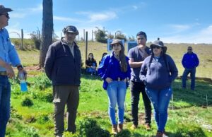 CONAF y Gobierno Regional de La Araucanía impulsan programa para la recuperación hidrológica en la zona de rezago Malleco