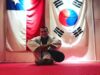 Honor, respeto y disciplina: instructor de taekwondo logró construir su propio Dojo en Pitrufquén