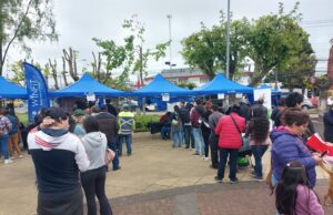 Feria laboral y vocacional de la OMIL de Pitrufquén tuvo una masiva concurrencia, evidenciando el aumento de desempleo