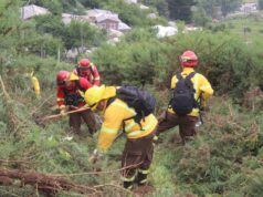 Gobierno impulsa plan regional de cortafuegos para prevenir incendios forestales en La Araucanía