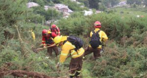 Gobierno impulsa plan regional de cortafuegos para prevenir incendios forestales en La Araucanía