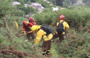 Gobierno impulsa plan regional de cortafuegos para prevenir incendios forestales en La Araucanía