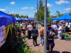 Expo flores Pitrufquén 2024 recibió a más de mil personas que disfrutaron de las flores y las plantas ornamentales