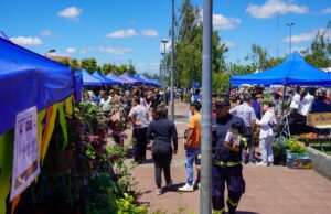 Expo flores Pitrufquén 2024 recibió a más de mil personas que disfrutaron de las flores y las plantas ornamentales