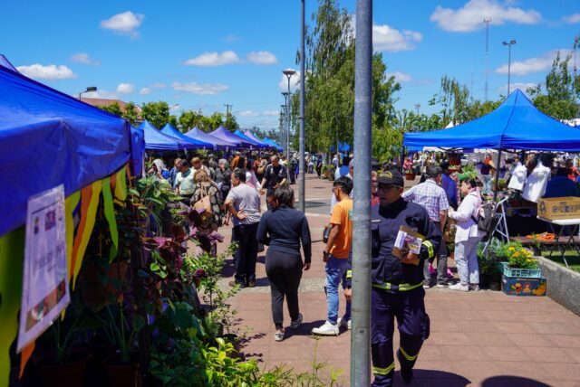 Expo flores Pitrufquén 2024 recibió a más de mil personas que disfrutaron de las flores y las plantas ornamentales