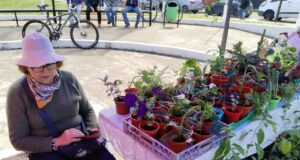 Casa de la Inclusión de la municipalidad de Freire invita a vecinos a visitar feria inclusiva en la plaza de Las Banderas