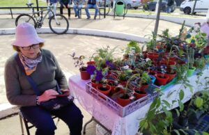 Casa de la Inclusión de la municipalidad de Freire invita a vecinos a visitar feria inclusiva en la plaza de Las Banderas