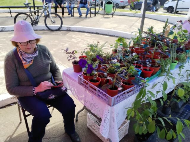 Casa de la Inclusión de la municipalidad de Freire invita a vecinos a visitar feria inclusiva en la plaza de Las Banderas