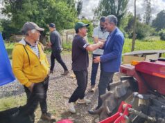 Alcalde de Freire, José Colihuil Binimelis, participó del “Día de campo GET papas Huilio”