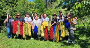Mujeres jefas de hogar de Freire finalizan capacitación en telar mapuche y teñido de lana