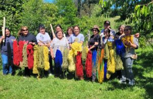 Mujeres jefas de hogar de Freire finalizan capacitación en telar mapuche y teñido de lana
