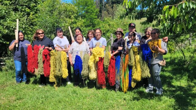 Mujeres jefas de hogar de Freire finalizan capacitación en telar mapuche y teñido de lana