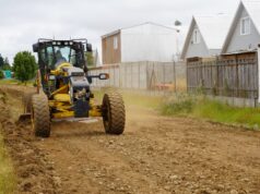 Construyen cortafuegos para evitar propagación de incendios forestales a sectores poblados de Pitrufquén