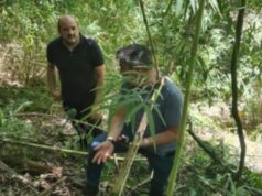 En la ribera del río Toltén hallan cráneo que podría corresponder a hombre desaparecido hace ocho años en Villarrica