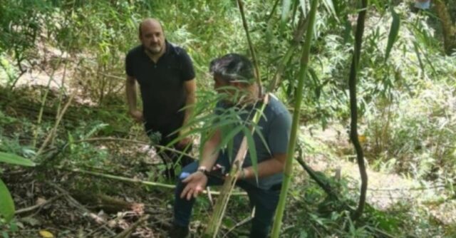 En la ribera del río Toltén hallan cráneo que podría corresponder a hombre desaparecido hace ocho años en Villarrica