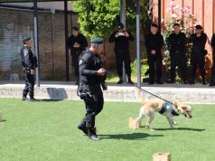 Gendarmería realiza en Temuco primer encuentro de equipo de canes adiestrados de la zona sur