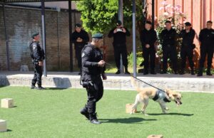 Gendarmería realiza en Temuco primer encuentro de equipo de canes adiestrados de la zona sur
