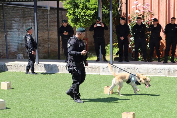Gendarmería realiza en Temuco primer encuentro de equipo de canes adiestrados de la zona sur