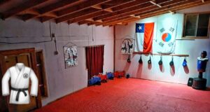 ¡La pequeña pelea más grande de tu vida! invitan a la comunidad de Pitrufquén a conocer el mundo de las artes marciales