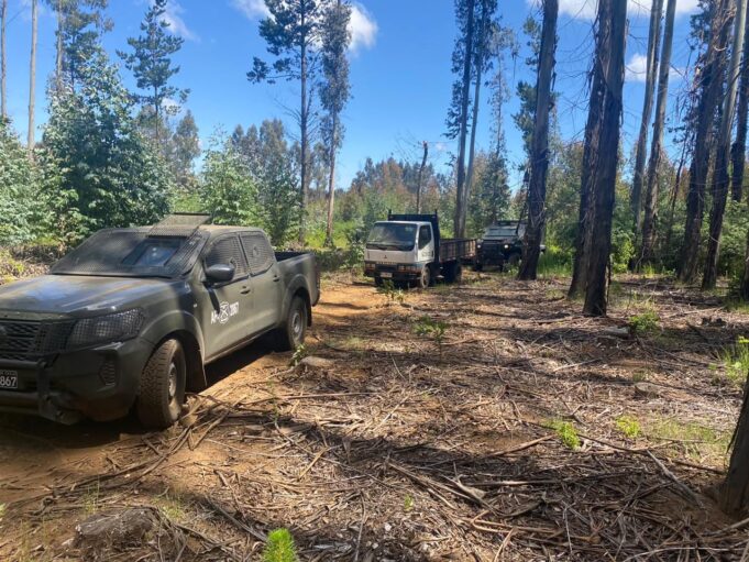 Carabineros sorprende en el acto a sujeto que sustraía madera desde un predio en Malleco