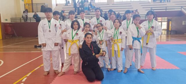 Karatecas de Freire destacan en campeonato regional: se trajeron 24 nuevas medallas para la comuna