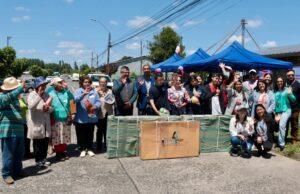 Ruta sana sobre ruedas reunió a las familias de Freire en una mañana dedicada a la actividad física
