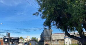 Carabineros detienen al presunto responsable de un atropello con resultado de muerte en Pitrufquén