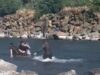 Carabineros rescata a niña de 12 años que era arrastrada por corriente del rio Cautín en Temuco