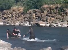 Carabineros rescata a niña de 12 años que era arrastrada por corriente del rio Cautín en Temuco