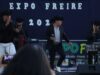 ¡La Fiesta continúa! Freire se prepara para recibir la gran expo Freire este fin de semana