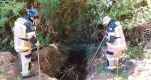 Con dron y el apoyo de seguridad ciudadana, municipio de Pitrufquén participa en la búsqueda de persona mayor extraviada este martes